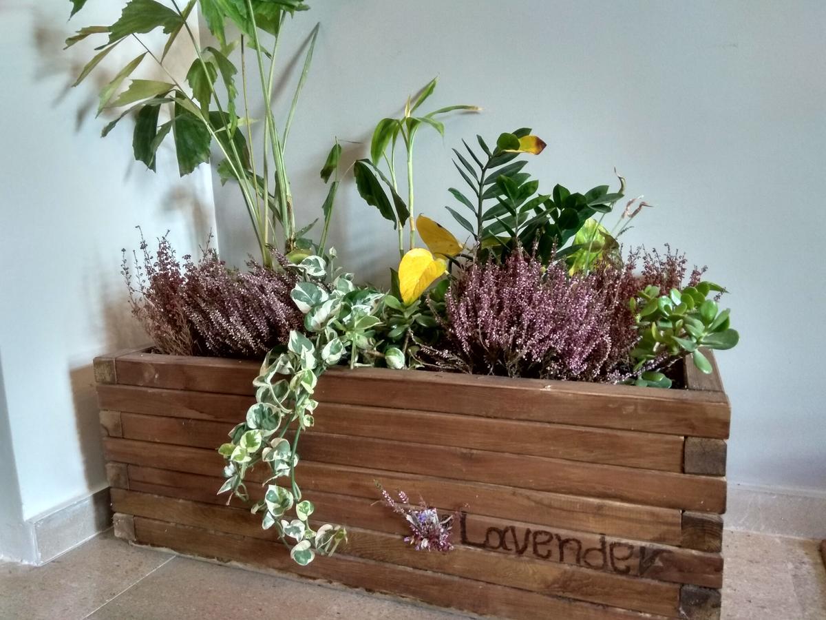 Appartamento Lavender Kalamata Esterno foto